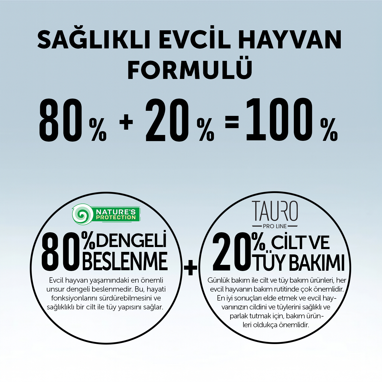 Beyaz Tüylü Köpekler İçin