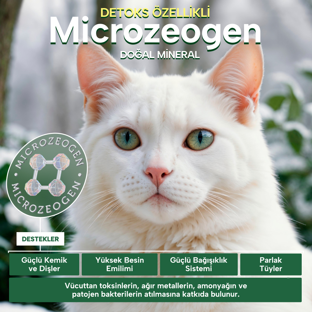 Beyaz Tüylü Köpekler İçin