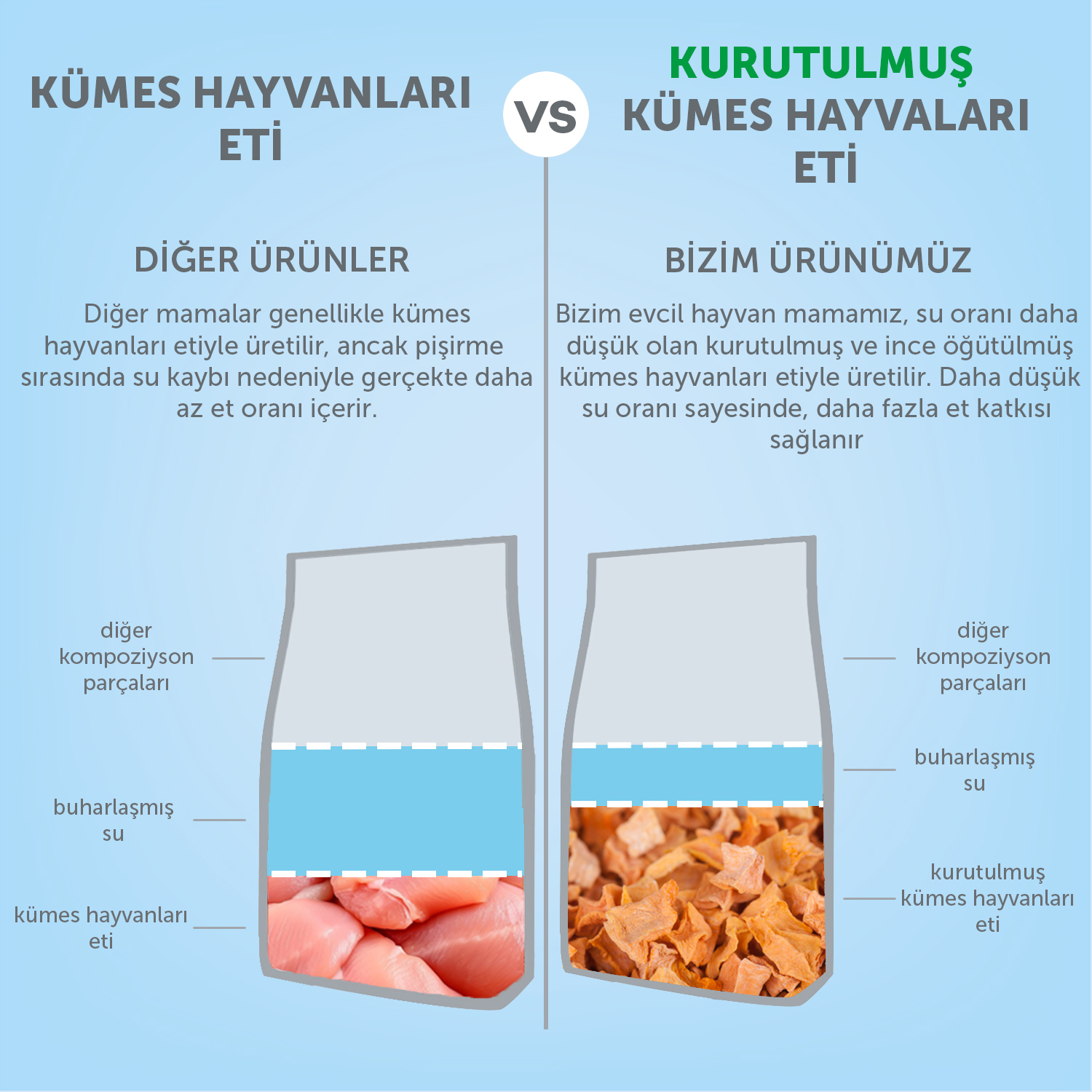 Beyaz Tüylü Köpekler İçin