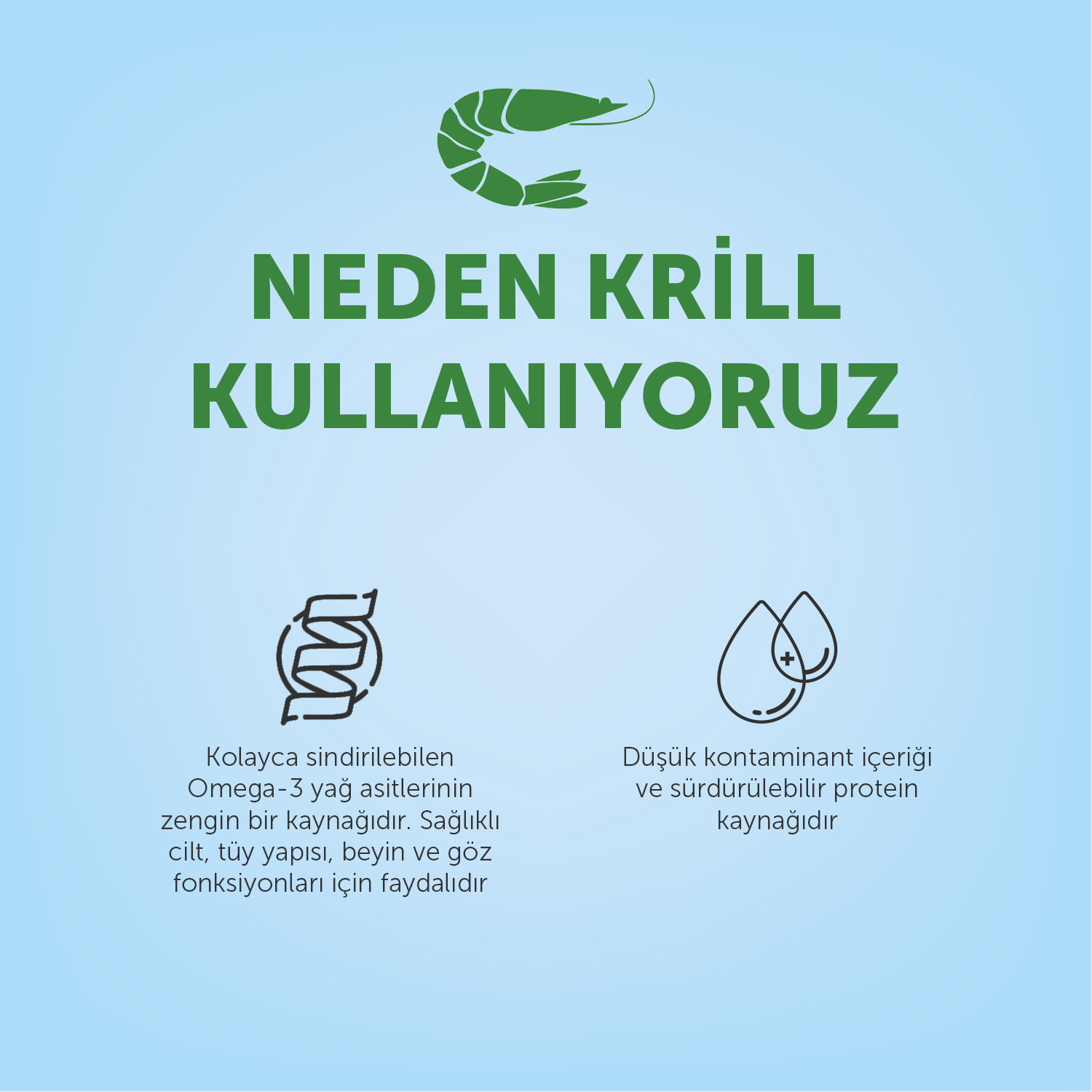 Beyaz Tüylü Köpekler İçin