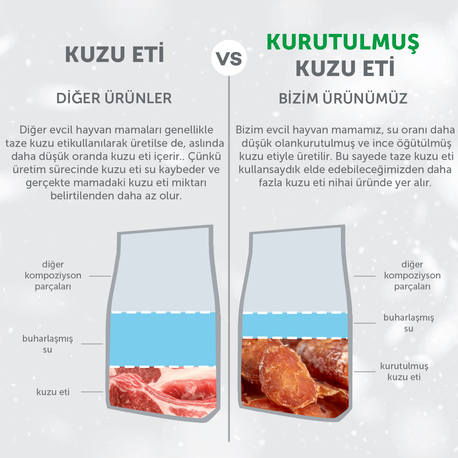 Beyaz Tüylü Köpekler İçin