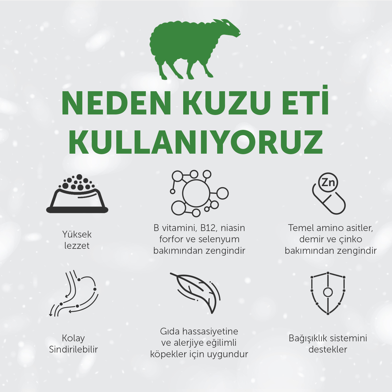 Beyaz Tüylü Köpekler İçin