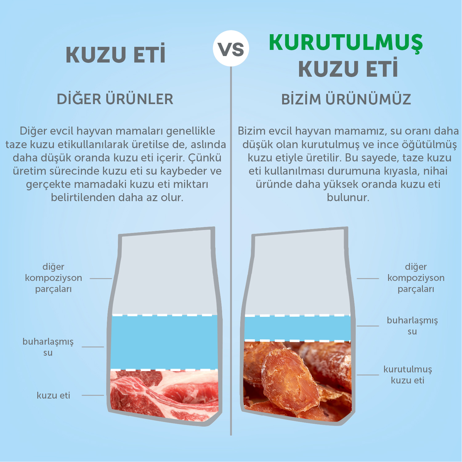 Beyaz Tüylü Köpekler İçin