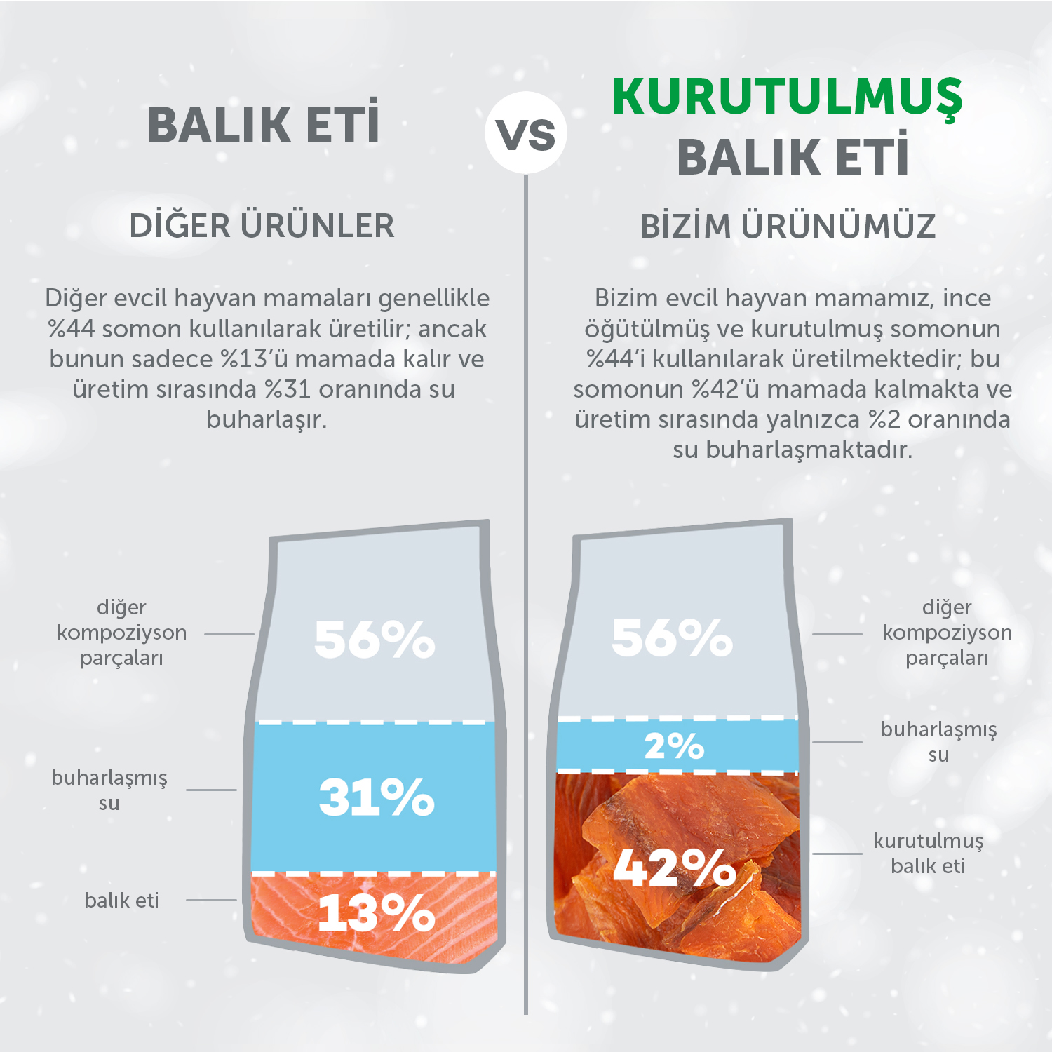 Beyaz Tüylü Köpekler İçin