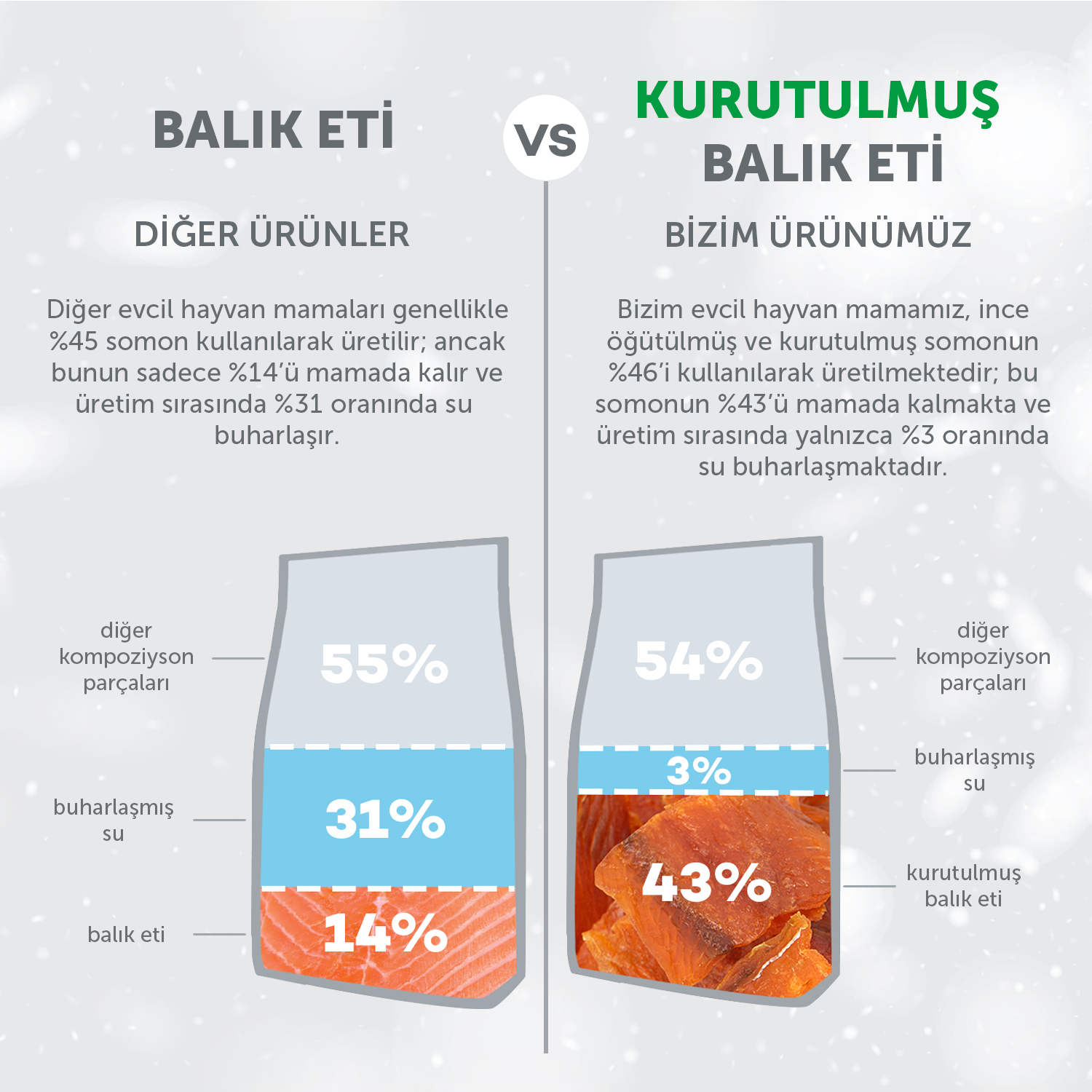 Beyaz Tüylü Köpekler İçin