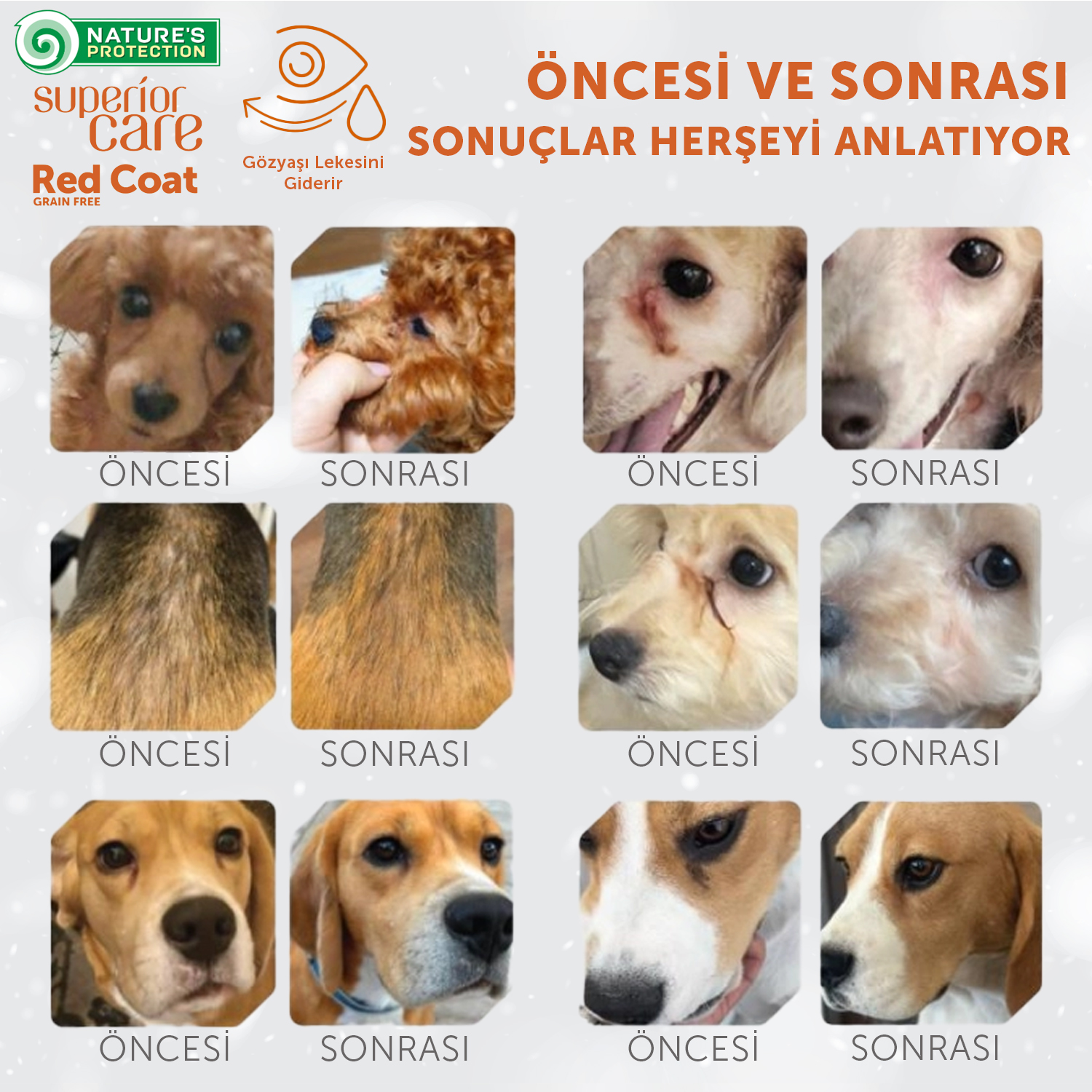 Beyaz Tüylü Köpekler İçin