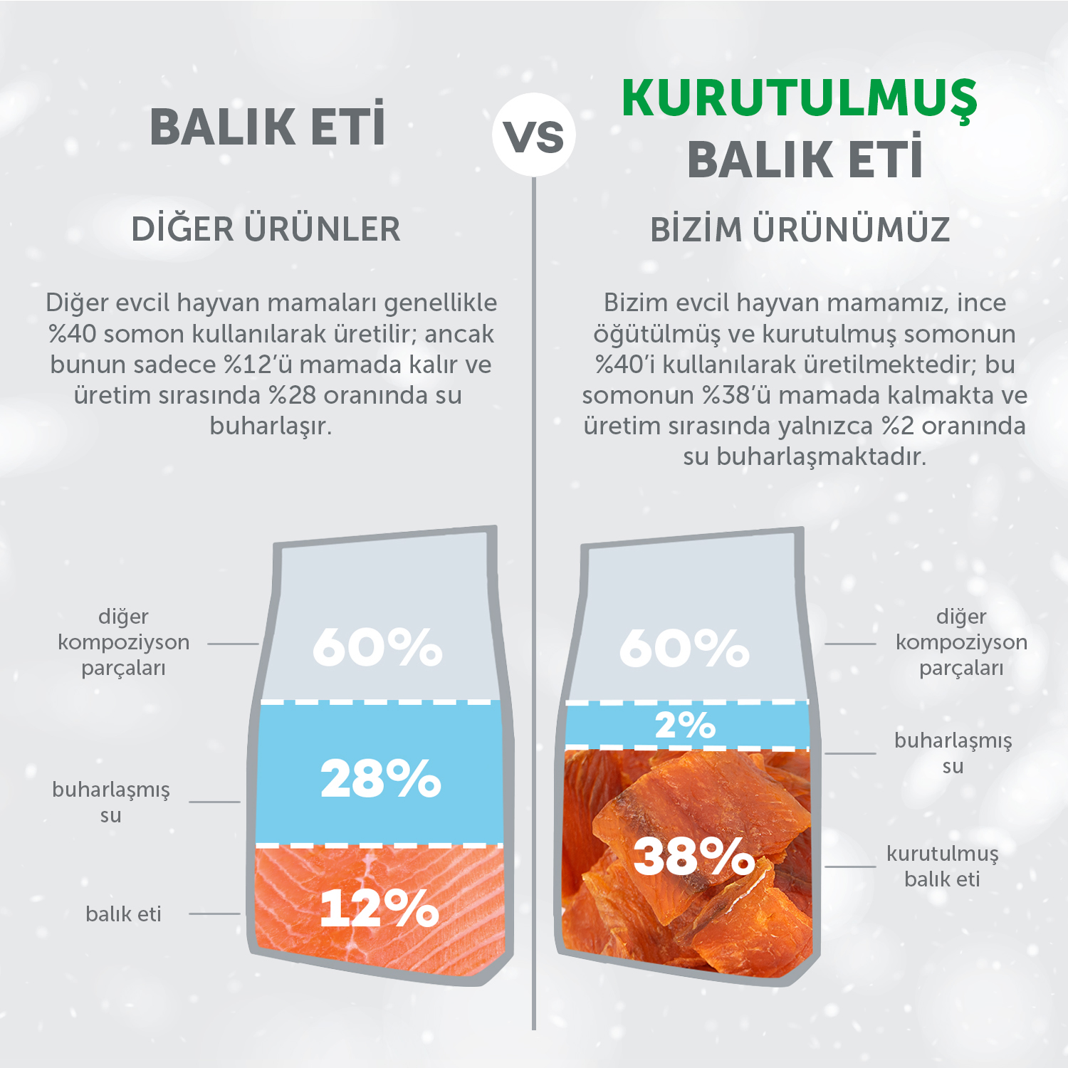 Beyaz Tüylü Köpekler İçin