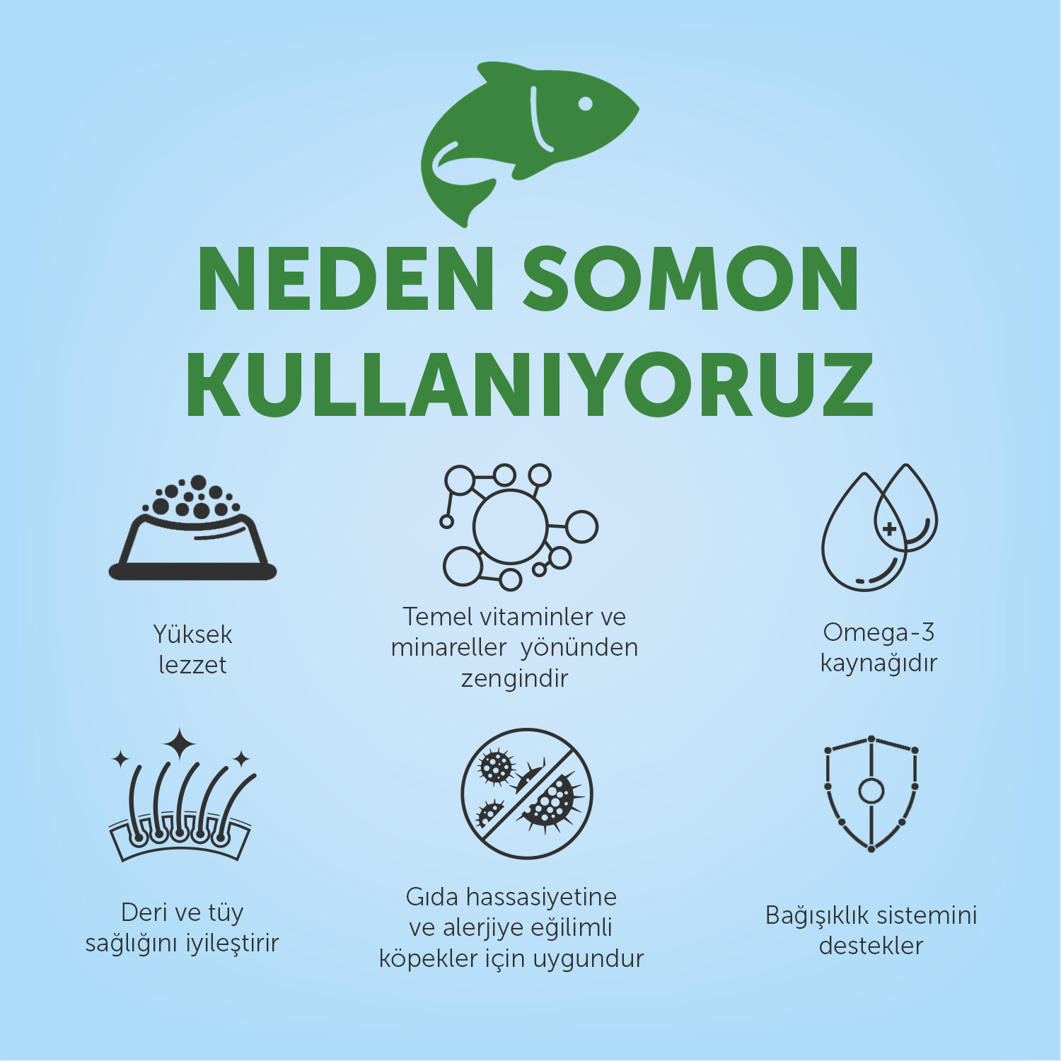 Beyaz Tüylü Köpekler İçin