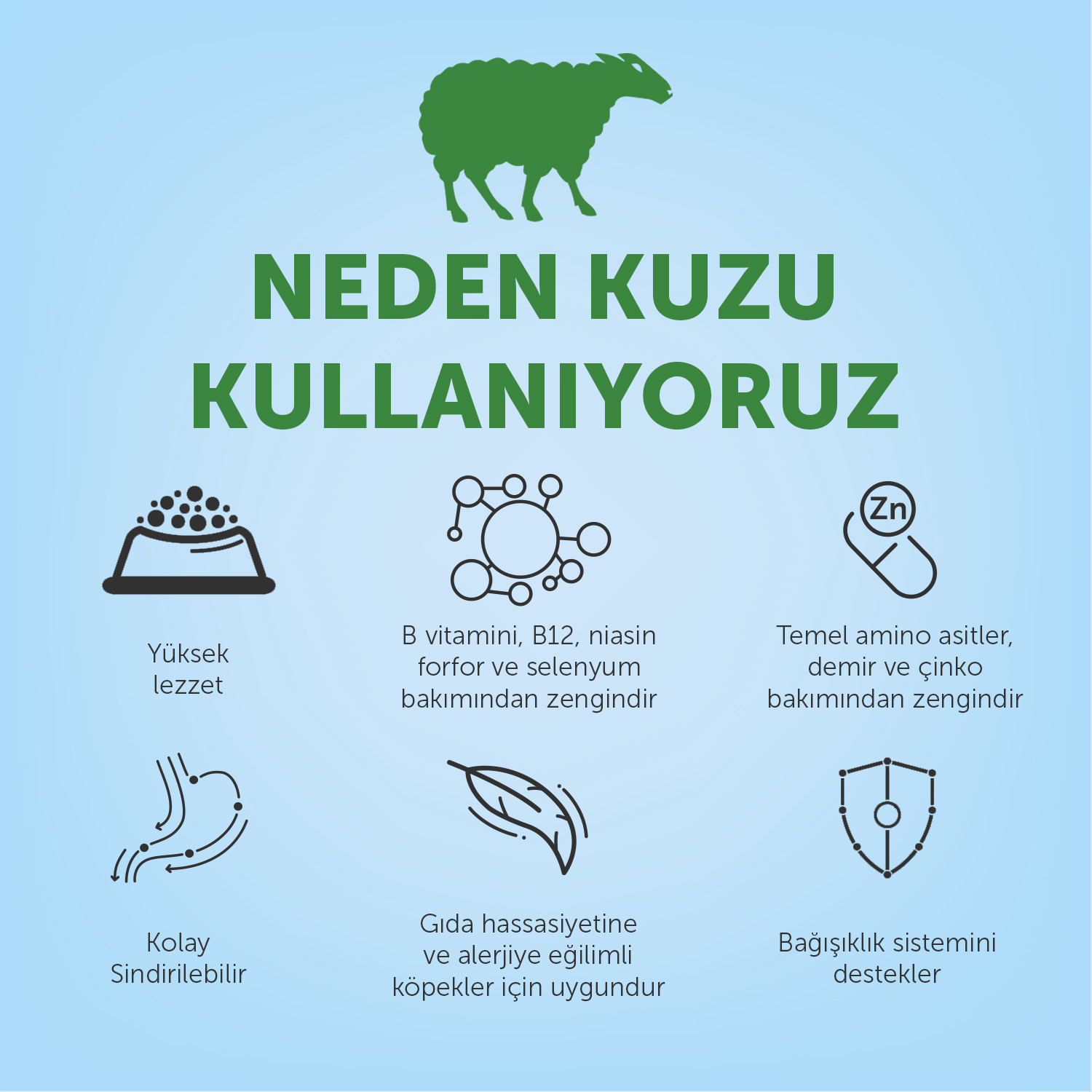 Beyaz Tüylü Köpekler İçin