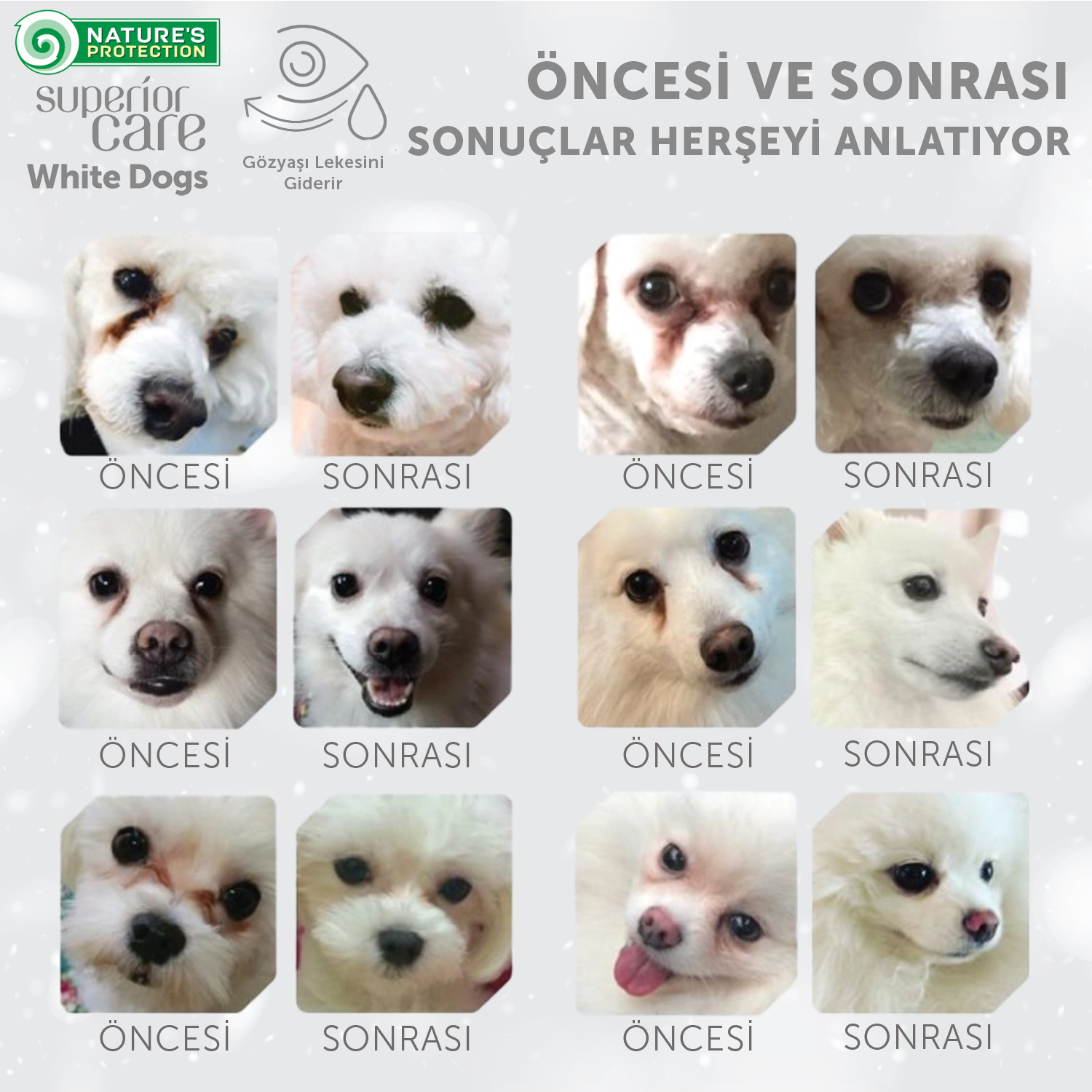 Beyaz Tüylü Köpekler İçin