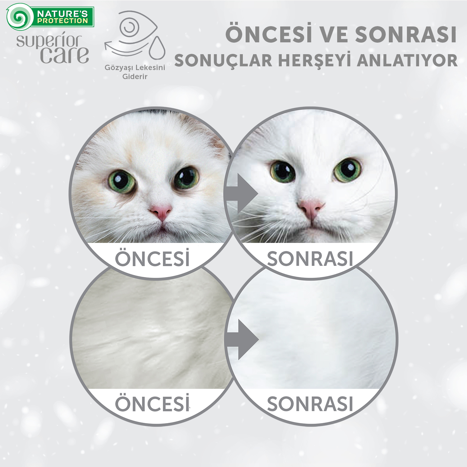 Beyaz Tüylü Köpekler İçin