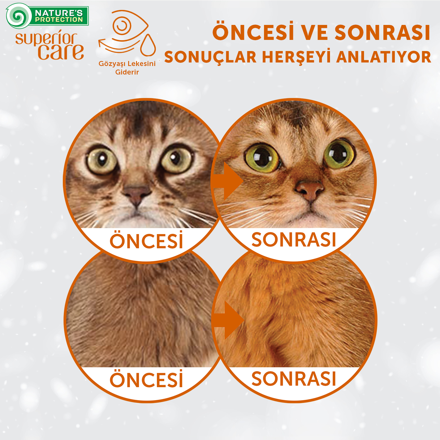 Beyaz Tüylü Köpekler İçin