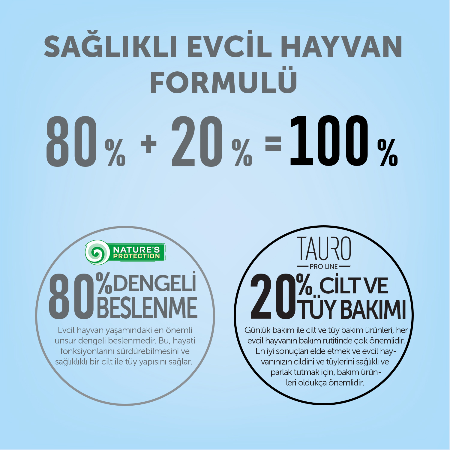Beyaz Tüylü Köpekler İçin