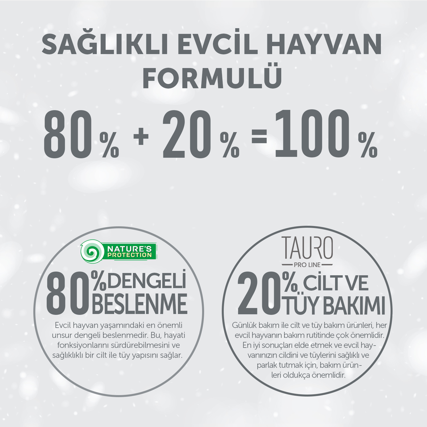 Beyaz Tüylü Köpekler İçin