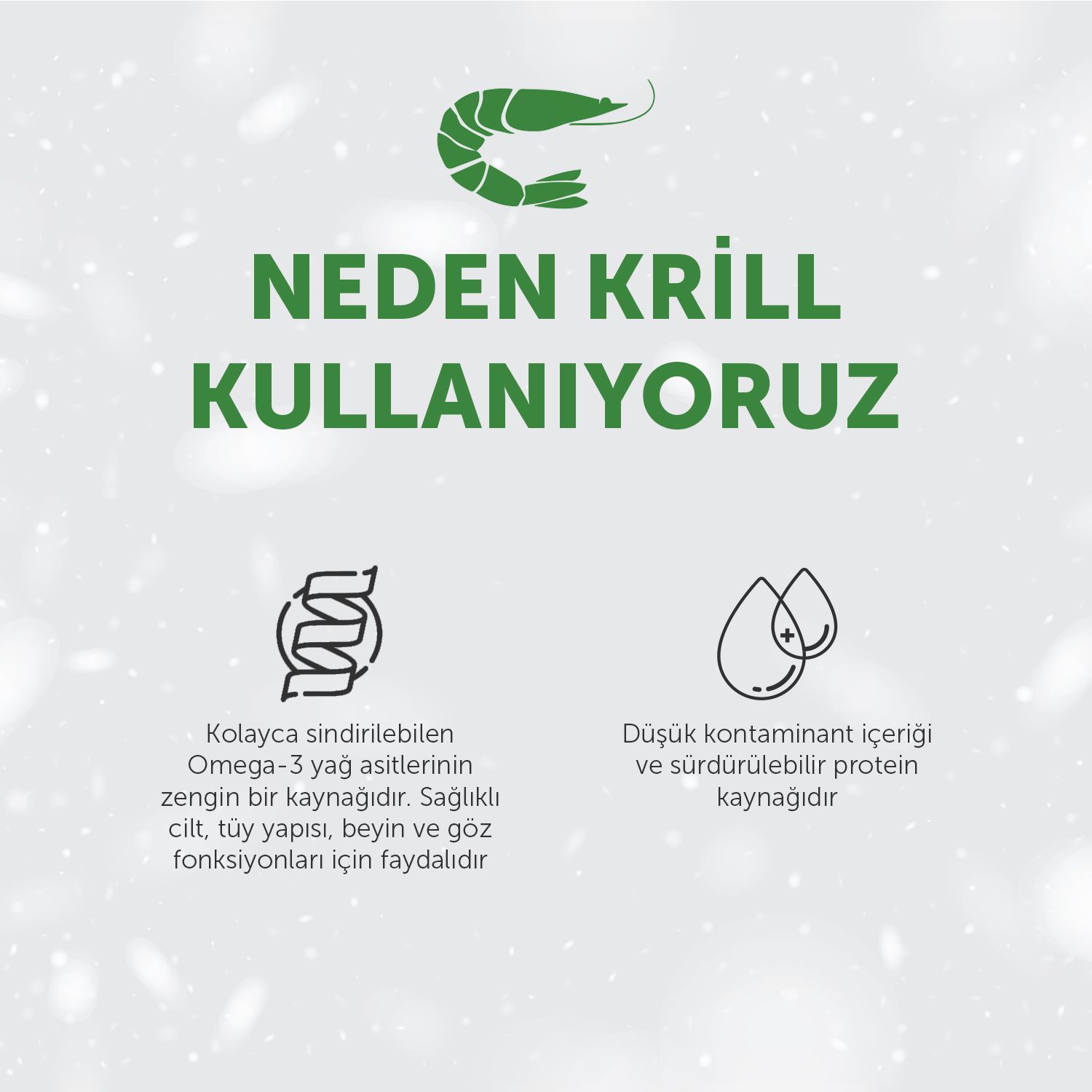Beyaz Tüylü Köpekler İçin